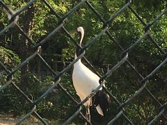 -石家庄市动物园