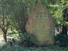 -吴淞炮台湾湿地森林公园烧烤区