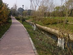 -三圣花乡旅游区