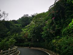 -广州市白云山风景名胜区