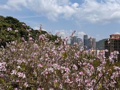 -小南山公园