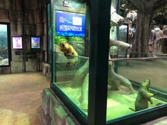 -福州罗源湾海洋世界旅游区