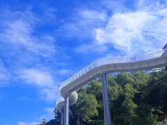 -金鸡山公园