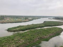 -春花秋色城市公园