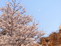 -淹城春秋乐园