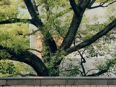 -湖北美术学院(昙华林校区)