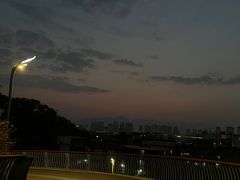 -飞凤山奥体公园