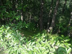 -照金香山旅游景区