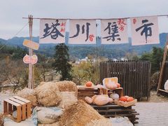 -塔川景区