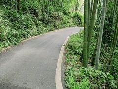 -缙云山景区