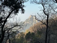 -泰山风景名胜区
