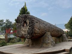 -国家植物园南园