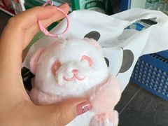 -都江堰中华大熊猫苑