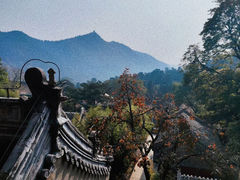 -潭柘寺景区