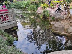 -晓港公园