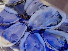 -千岛蚝高压锅生蚝·人参火锅(白云万达店)