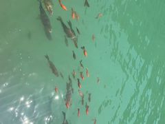 -山西通天峡景区