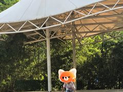 -庄怡公园