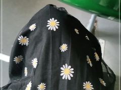 -东方名猫馆·英短金渐层布偶猫舍(环线广场1号楼店)