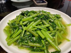 茼蒿-七八九餐厅(浦江店)
