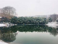-河南省黄河迎宾馆
