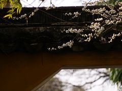 -苏州上方山国家森林公园