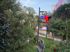 -后海彼岸花园餐厅