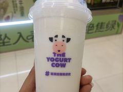 -一只酸奶牛(兰州中心店)