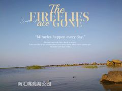 -南汇嘴观海公园