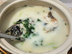 -天乐农家鱼头王(天目湖店)