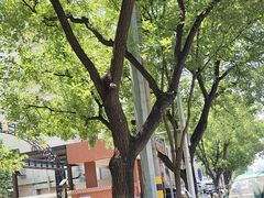 -碧中海汤泉汗蒸酒店