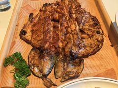 -京北渔家傲
