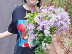 -天女山森林公园
