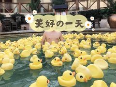 -苏州湾王焰温泉度假酒店
