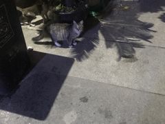 -静安别墅