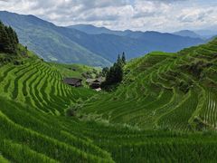 -龙脊梯田