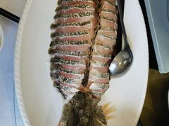 开片的大桂鱼-渭塘酒家(生态园店)