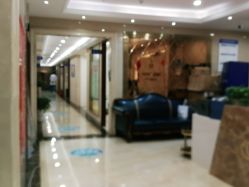 -碧莲盛·不剃发植发