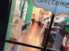 -李小姐の猫咖啡馆(五角场店)