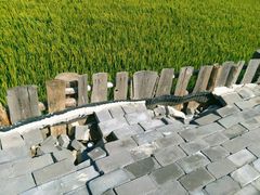 -红海滩国家风景廊道