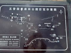 -五营国家森林公园
