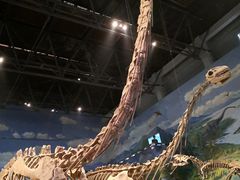 -自贡恐龙博物馆