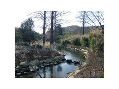 -白马涧龙池景区