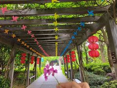 -白马涧龙池景区