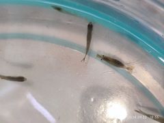 -洨河生态公园