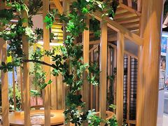-菌彩云南野生菌火锅(万达广场店)