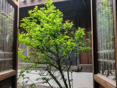 -鸣鹤古镇