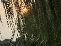 -后海公园