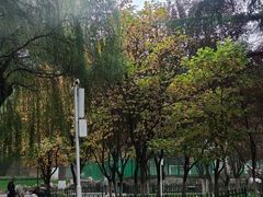 -西安市纺织公园