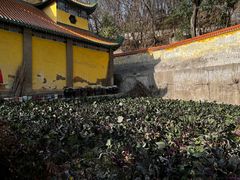 -宝通禅寺
